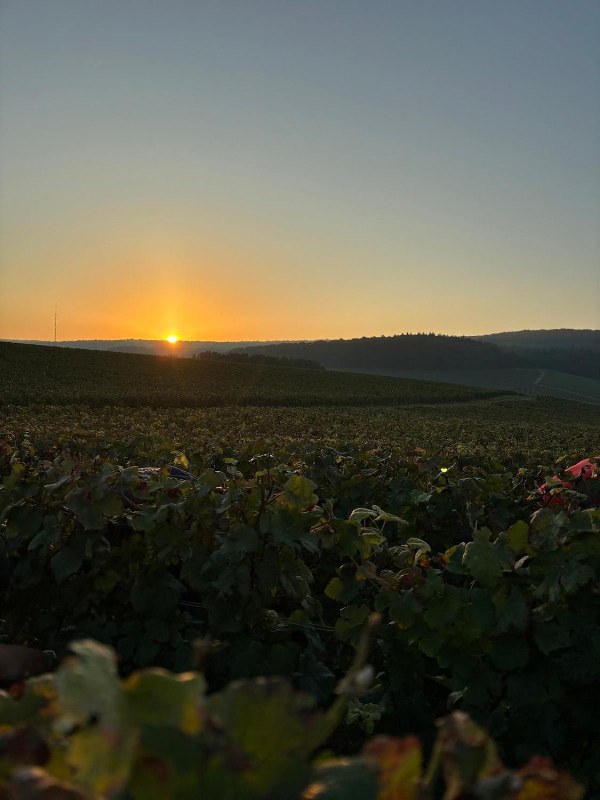 La Galipette, Charmant Chalet En Champagne Fleury-la-Riviere 外观 照片